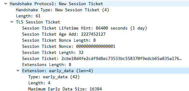 New Session Ticket